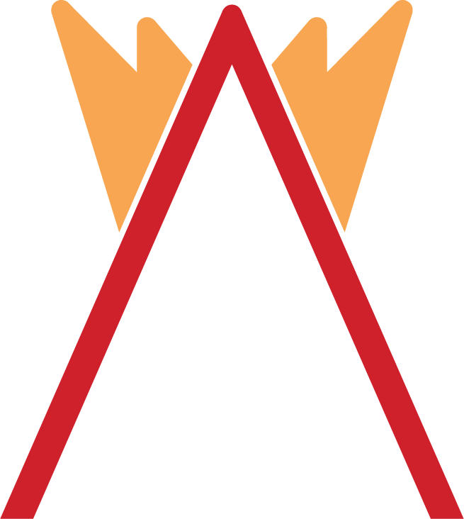 Ammir logo